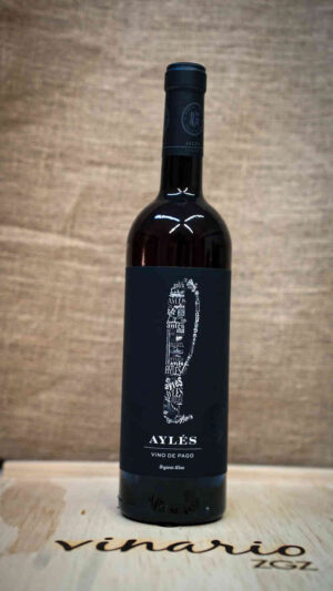 AYLES L