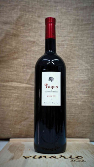 FAGUS