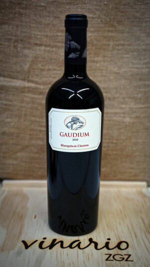 GAUDIUM 2020