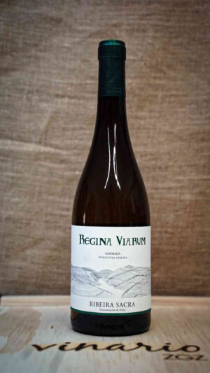 REGINA VIARUM GODELLO